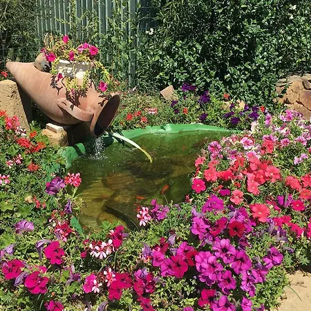 L'uddastru * בודוני